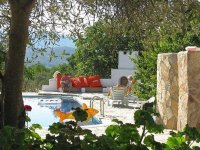 Country Paradise Villa with Separate Annex and swimming Pool - Uzumlu #3