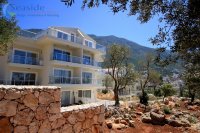 Elif Apartments with Panoramic Sea and Mountain Views - Kalkan #1
