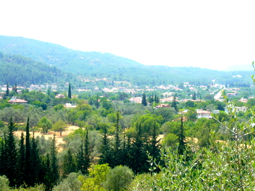 Uzumlu - Valley View